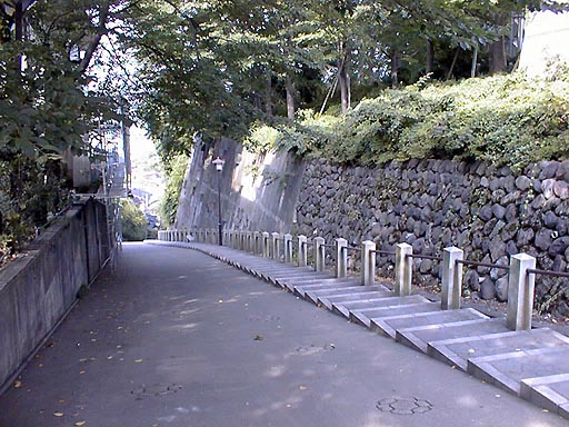 /guide/gazo512/gazo20010728/ya-saka022.jpg 八坂(八坂五山) の写真(82) 2001年07月28日