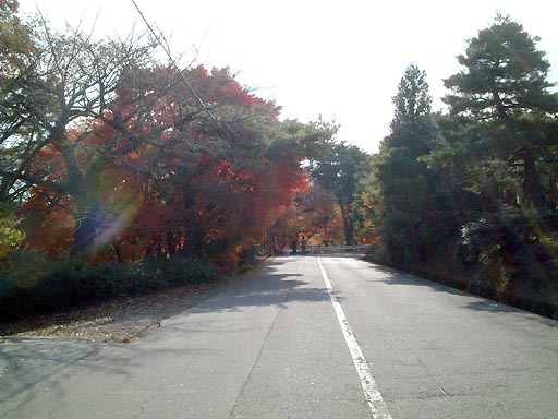 卯辰山公園線 の写真(82) 2001年11月23日