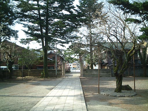 /guide/gazo512/gazo20020317/nyoraiji073.jpg 如来寺 の写真(84) 2002年03月17日