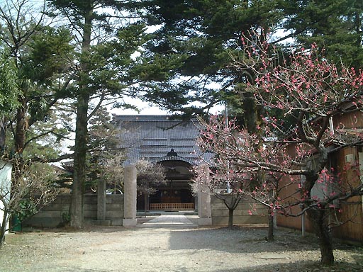 /guide/gazo512/gazo20020317/nyoraiji076.jpg 如来寺 の写真(85) 2002年03月17日