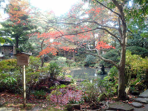 西田家庭園 玉泉園 の写真(84) 2003年11月23日