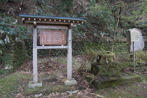 薬師寺 の写真(21) 2013年04月17日