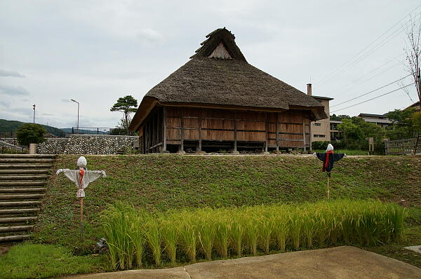 金沢湯涌江戸村 の写真(21) 2013年09月01日