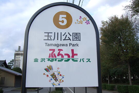 写真(87) /loopbus/gazo540/gazo20081122/fnaga-tamagawakoen-nDSCF4796.JPG