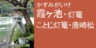 霞ヶ池・灯籠エリア