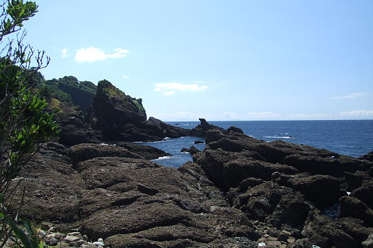 /pref-fukui/echizentown/g060903/zenigahama-bDSCF0595.JPG 銭ヶ浜(2) の写真(83) 2006年09月03日