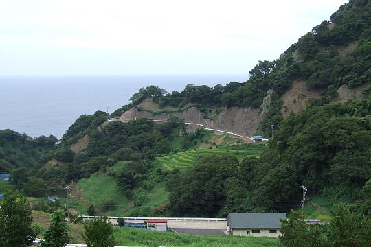 /pref-fukui/echizentown/g070902/senmaidaDSCF8726.JPG 梨子ケ平 千枚田 の写真(81) 2007年09月02日