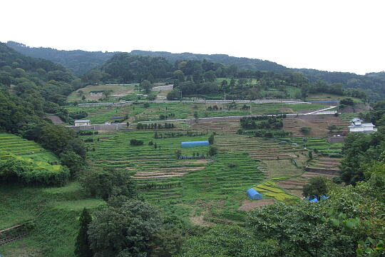 /pref-fukui/echizentown/g070902/senmaidaDSCF8728.JPG 梨子ケ平 千枚田 の写真(82) 2007年09月02日
