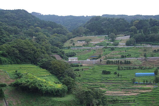 /pref-fukui/echizentown/g070902/senmaidaDSCF8734.JPG 梨子ケ平 千枚田 の写真(83) 2007年09月02日