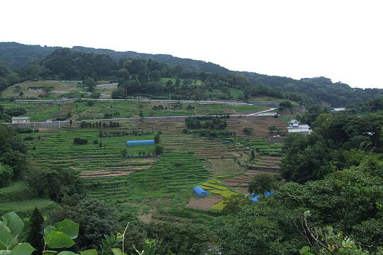 /pref-fukui/echizentown/g070902/senmaidaDSCF8735.JPG 梨子ケ平 千枚田 の写真(84) 2007年09月02日