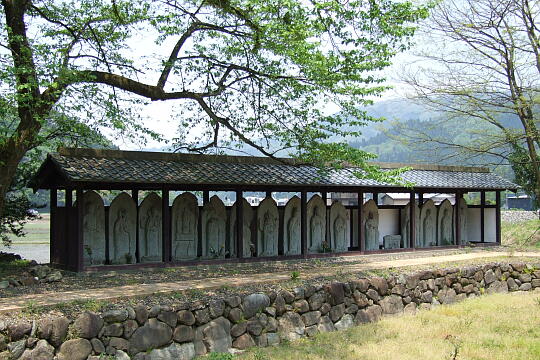 /pref-fukui/fukui/g070503/ichijodani-kDSCF5952.JPG 一乗谷 西山光照寺跡 の写真(81) 2007年05月03日