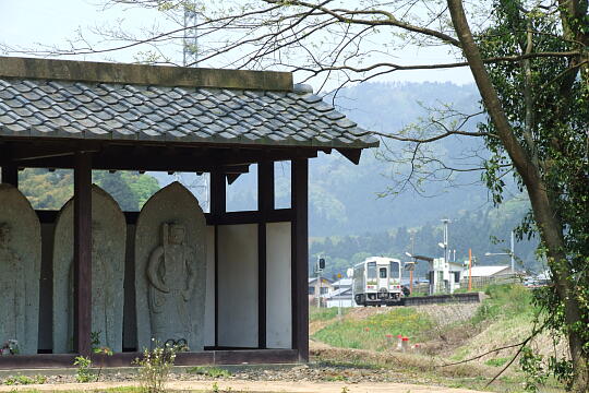 /pref-fukui/fukui/g070503/ichijodani-kDSCF5955.JPG 一乗谷 西山光照寺跡 の写真(82) 2007年05月03日