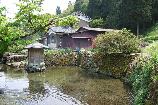 /pref-fukui/fukui/g070503/ichijodani-vDSCF5895.JPG 一乗谷朝倉遺跡 瓜割清水 の写真(82) 2007年05月03日