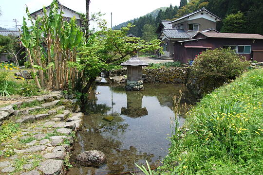 /pref-fukui/fukui/g070503/ichijodani-vDSCF5899.JPG 一乗谷朝倉遺跡 瓜割清水 の写真(83) 2007年05月03日