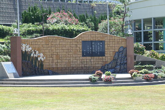 /pref-fukui/fukuikaigan/g060903/suisen-domeDSCF0564.JPG 水仙ドーム の写真(81) 2006年09月03日