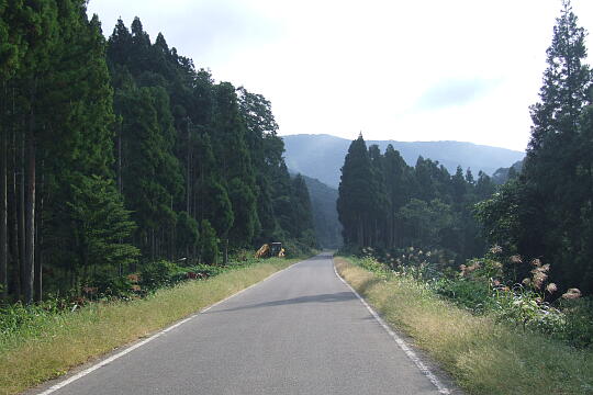 /pref-fukui/haisen/g060923/haisen-gDSCF0490.JPG 鉄道跡らしいカーブ の写真(81) 2006年09月23日