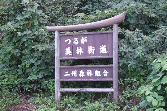 /pref-fukui/haisen/g060923/haisen-wDSCF0614.JPG 展望(鮒ヶ谷トンネル~葉原トンネル) の写真(83) 2006年09月23日