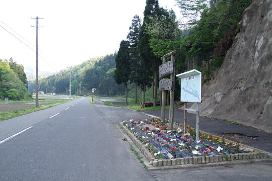 /pref-fukui/haisen/g070504/haisen-fDSCF6508.JPG 大桐 の写真(81) 2007年05月04日