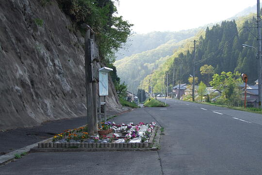 /pref-fukui/haisen/g070504/haisen-fDSCF6514.JPG 大桐 の写真(83) 2007年05月04日