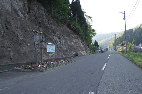 /pref-fukui/haisen/g070504/haisen-fDSCF6518.JPG 大桐 の写真(84) 2007年05月04日