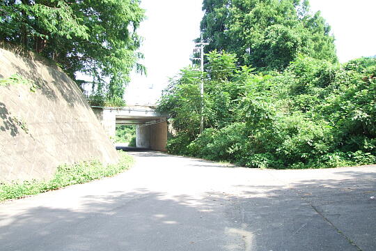 /pref-fukui/haisen/g070826/haisen-tjDSCF7846.JPG 北陸自動車道上り線 杉津PA の写真(82) 2007年08月26日
