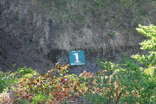 /pref-fukui/ikeda/g080518/kanmuri-1DSCF0297.JPG 林道冠山線 Point1 の写真(81) 2008年05月18日