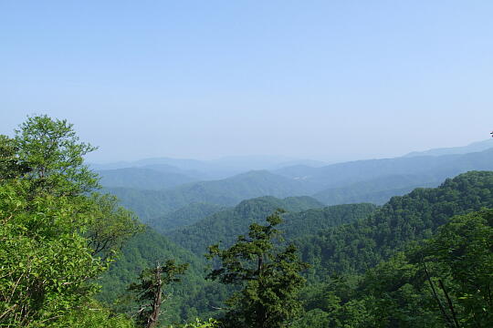 /pref-fukui/ikeda/g080518/kanmuri-1DSCF0299.JPG 林道冠山線 Point1 の写真(82) 2008年05月18日