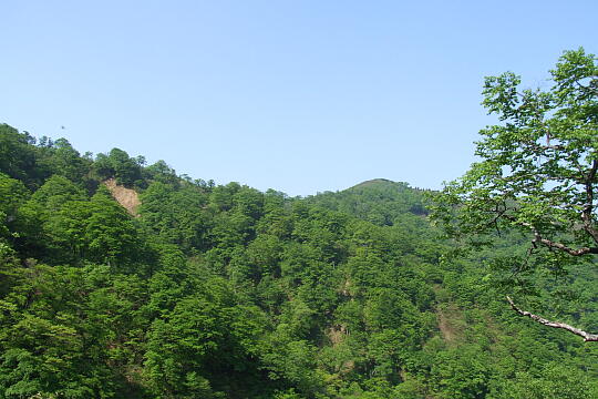 /pref-fukui/ikeda/g080518/kanmuri-1DSCF0303.JPG 林道冠山線 Point1 の写真(83) 2008年05月18日