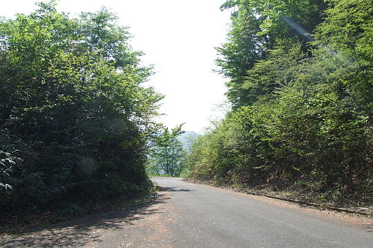 /pref-fukui/ikeda/g080518/kanmuri-2DSCF0310.JPG 林道冠山線 Point2 の写真(81) 2008年05月18日