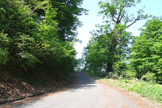 /pref-fukui/ikeda/g080518/kanmuri-2DSCF0311.JPG 林道冠山線 Point2 の写真(82) 2008年05月18日