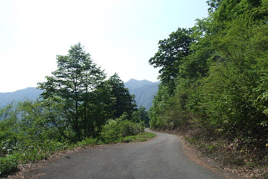 /pref-fukui/ikeda/g080518/kanmuri-2DSCF0313.JPG 林道冠山線 Point2 の写真(83) 2008年05月18日
