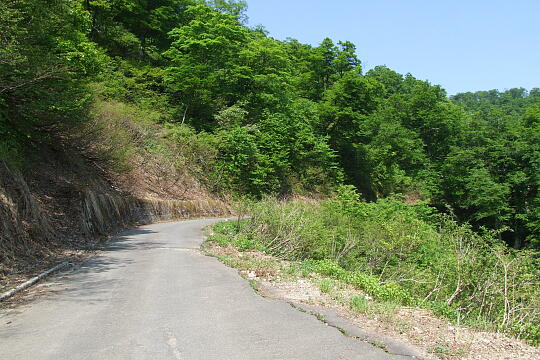 /pref-fukui/ikeda/g080518/kanmuri-3DSCF0317.JPG 林道冠山線 Point3 の写真(81) 2008年05月18日
