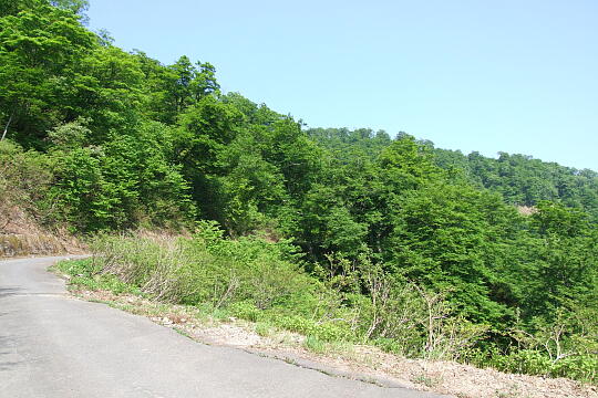 /pref-fukui/ikeda/g080518/kanmuri-3DSCF0319.JPG 林道冠山線 Point3 の写真(82) 2008年05月18日