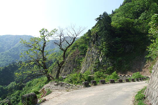 /pref-fukui/ikeda/g080518/kanmuri-3DSCF0327.JPG 林道冠山線 Point3 の写真(84) 2008年05月18日