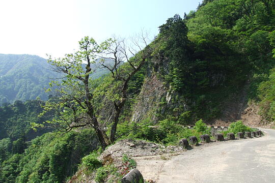 /pref-fukui/ikeda/g080518/kanmuri-3DSCF0329.JPG 林道冠山線 Point3 の写真(85) 2008年05月18日