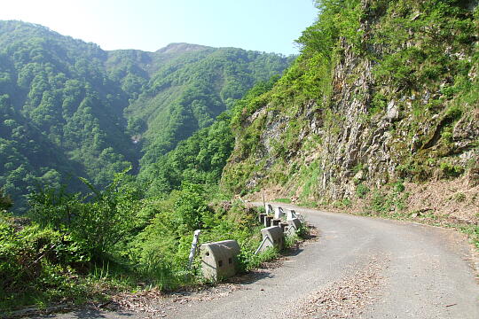 /pref-fukui/ikeda/g080518/kanmuri-45DSCF0205.JPG 林道冠山線 Point4〜5間 の写真(81) 2008年05月18日