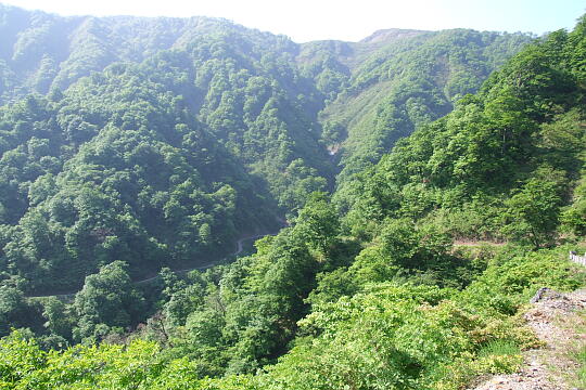 /pref-fukui/ikeda/g080518/kanmuri-45DSCF0209.JPG 林道冠山線 Point4〜5間 の写真(82) 2008年05月18日