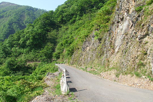 /pref-fukui/ikeda/g080518/kanmuri-45DSCF0211.JPG 林道冠山線 Point4〜5間 の写真(83) 2008年05月18日