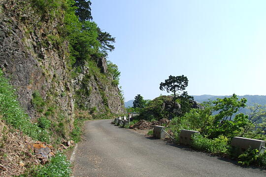 /pref-fukui/ikeda/g080518/kanmuri-45DSCF0212.JPG 林道冠山線 Point4〜5間 の写真(84) 2008年05月18日