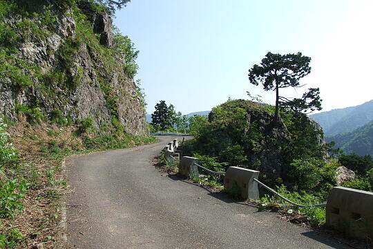 /pref-fukui/ikeda/g080518/kanmuri-45DSCF0215.JPG 林道冠山線 Point4〜5間 の写真(85) 2008年05月18日