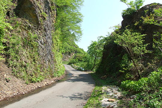 /pref-fukui/ikeda/g080518/kanmuri-4DSCF0336.JPG 林道冠山線 Point4 の写真(82) 2008年05月18日