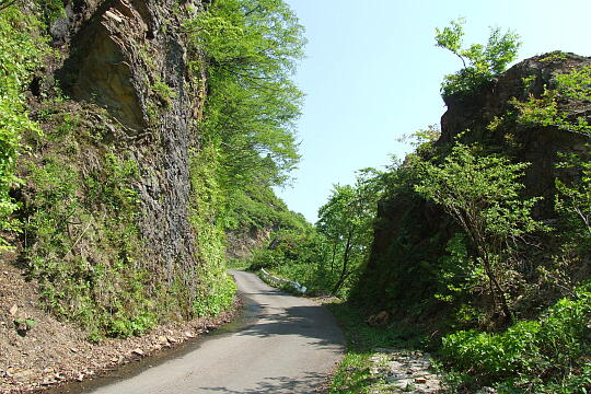 /pref-fukui/ikeda/g080518/kanmuri-4DSCF0337.JPG 林道冠山線 Point4 の写真(83) 2008年05月18日