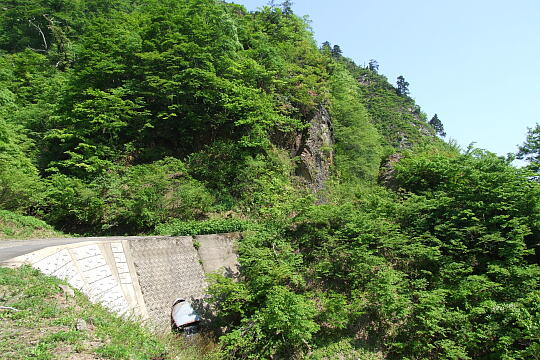 /pref-fukui/ikeda/g080518/kanmuri-4DSCF0347.JPG 林道冠山線 Point4 の写真(84) 2008年05月18日