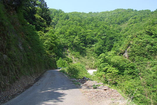 /pref-fukui/ikeda/g080518/kanmuri-4DSCF0349.JPG 林道冠山線 Point4 の写真(85) 2008年05月18日