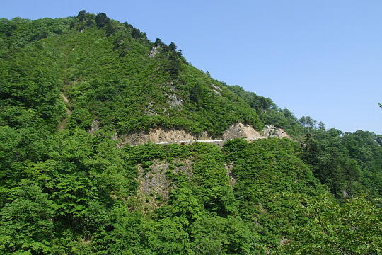 /pref-fukui/ikeda/g080518/kanmuri-4DSCF0351.JPG 林道冠山線 Point4 の写真(86) 2008年05月18日