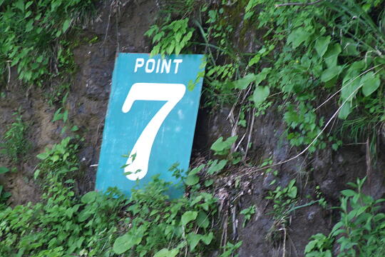 /pref-fukui/ikeda/g080518/kanmuri-7DSCF0370.JPG 林道冠山線 Point7 の写真(81) 2008年05月18日