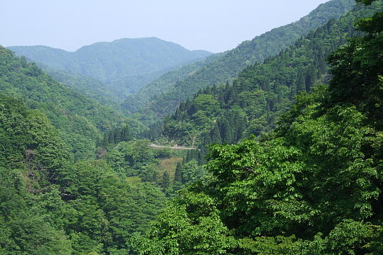 /pref-fukui/ikeda/g080518/kanmuri-7DSCF0375.JPG 林道冠山線 Point7 の写真(83) 2008年05月18日
