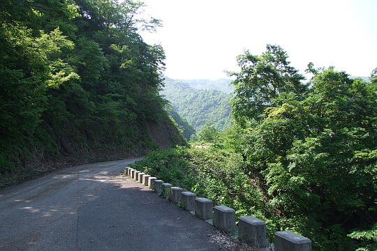/pref-fukui/ikeda/g080518/kanmuri-7DSCF0376.JPG 林道冠山線 Point7 の写真(84) 2008年05月18日