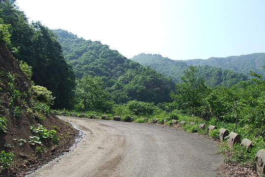 /pref-fukui/ikeda/g080518/kanmuri-7DSCF0378.JPG 林道冠山線 Point7 の写真(85) 2008年05月18日