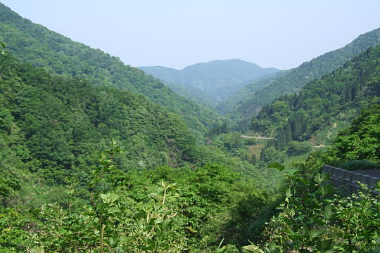 /pref-fukui/ikeda/g080518/kanmuri-7DSCF0382.JPG 林道冠山線 Point7 の写真(86) 2008年05月18日